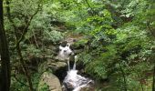 Randonnée Marche Thuès-Entre-Valls - les gorges de la Caranca - Photo 6