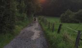 Trail Walking Durbuy - Avondwandeling Durbuy 23-7-16 - Photo 5