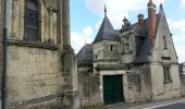 Tour Wandern La Ville-aux-Dames - Île de la Métairie - Montlouis-sur-Loire - 2016 07 24 - Photo 5