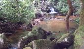 Excursión Senderismo Arfeuilles - Arfeuilles - tour de la cascade de la Pisserotte  - Photo 2
