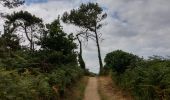 Trail Walking Plouha - Falaise de Plouha.(29-07-16) - Photo 5