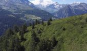 Randonnée Marche Termen - Rosswald - Bisse de Gibjeri - 29.07.16 - Photo 8