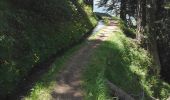 Randonnée Marche Termen - Rosswald - Bisse de Gibjeri - 29.07.16 - Photo 4