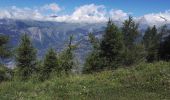 Randonnée Marche Termen - Rosswald - Bisse de Gibjeri - 29.07.16 - Photo 2