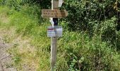 Trail Walking Figeac - Compostelle 2: 1-Figeac - Espagnac - Photo 1