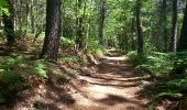 Trail Walking Ribes - Ribes  - Photo 2