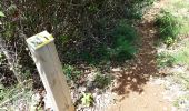 Trail Walking Le Gosier - Anse à saint-anse à eblain - Photo 6