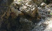 Trail Walking Le Gosier - Anse à saint-anse à eblain - Photo 8