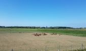 Randonnée Marche Ostende - Rond Stene  - Photo 3