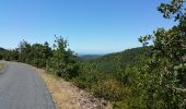 Trail Cycle Azille - ferrals le bois minerve - Photo 4