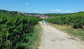 Randonnée Marche Rosheim - Itinéraire en balcon autour de Rosheim - Photo 6