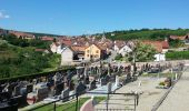 Tocht Stappen Rosheim - Itinéraire en balcon autour de Rosheim - Photo 5