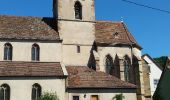 Tocht Stappen Rosheim - Itinéraire en balcon autour de Rosheim - Photo 4