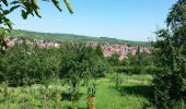 Randonnée Marche Rosheim - Itinéraire en balcon autour de Rosheim - Photo 1