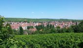 Tocht Stappen Rosheim - Itinéraire en balcon autour de Rosheim - Photo 13