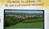 Trail Walking Rosheim - Itinéraire en balcon autour de Rosheim - Photo 12