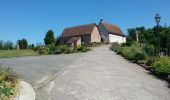 Excursión Senderismo Rosheim - Itinéraire en balcon autour de Rosheim - Photo 10