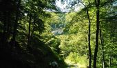 Randonnée Marche Rousses - Lozère Rousse gorges du Tapoul - Photo 1
