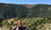 Tour Pferd Gorges du Tarn Causses - Nissoulorgues-L'Hom - Photo 20