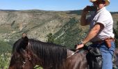 Trail Equestrian Gorges du Tarn Causses - Nissoulorgues-L'Hom - Photo 12