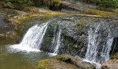 Randonnée Marche La Chaux-du-Dombief - cascades du hérisson  - Photo 18