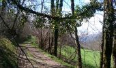 Trail Walking Mont - Saint Calixte - Photo 20
