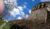 Tocht Stappen Mont - Saint Calixte - Photo 15