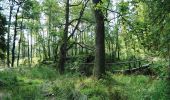 Trail Walking Raeren - Petergensfeld - Natura 2000, des sites qui valent le détour - Lg21 - Photo 4