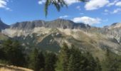 Tour Wandern La Roche-des-Arnauds - COL de CONODE depuis LA ROCHE des ARNAUDS-13-08-2016 - Photo 16