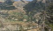 Randonnée Marche La Roche-des-Arnauds - COL de CONODE depuis LA ROCHE des ARNAUDS-13-08-2016 - Photo 6