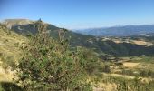 Tour Wandern La Roche-des-Arnauds - COL de CONODE depuis LA ROCHE des ARNAUDS-13-08-2016 - Photo 1