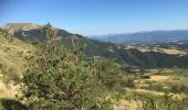 Randonnée Marche La Roche-des-Arnauds - COL de CONODE depuis LA ROCHE des ARNAUDS-13-08-2016 - Photo 1