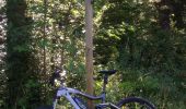 Tocht Mountainbike Prémanon - Ballade entre les Arcets prémanon le risoux  bois d'amont et retour.  - Photo 1