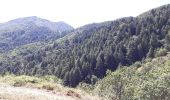 Randonnée Autre activité Saumane - col de l asclier par estrechure - Photo 2