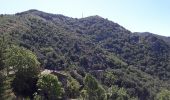 Randonnée Autre activité Saumane - col de l asclier par estrechure - Photo 14