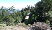 Randonnée Autre activité Saumane - col de l asclier par estrechure - Photo 13