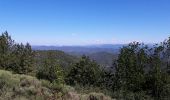 Tocht Andere activiteiten Saumane - col de l asclier par estrechure - Photo 12