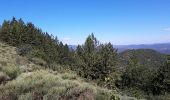 Tocht Andere activiteiten Saumane - col de l asclier par estrechure - Photo 11