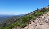 Excursión Otra actividad Saumane - col de l asclier par estrechure - Photo 2