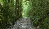 Trail Walking Matafelon-Granges - bonbois - Photo 5