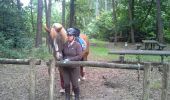 Tour Pferd Lanaken - lanaken dis - Photo 2