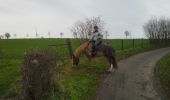 Trail Equestrian Thimister-Clermont - val dieu froidthier aubel  - Photo 1