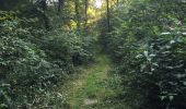 Trail Walking Vresse-sur-Semois - Membre-Bohan - Photo 10