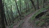 Trail Walking Vresse-sur-Semois - Membre-Bohan - Photo 9