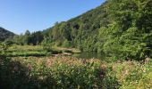 Trail Walking Vresse-sur-Semois - Membre-Bohan - Photo 8
