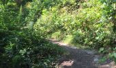 Trail Walking Vresse-sur-Semois - Membre-Bohan - Photo 6
