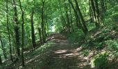 Trail Walking Vresse-sur-Semois - Membre-Bohan - Photo 5