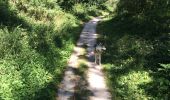 Trail Walking Seilh - Seihl - bord de Garonne - Photo 4