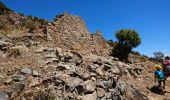 Excursión Senderismo Moltifao - Les ruines de Sepula en boucle - Photo 10