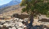 Trail Walking Moltifao - Les ruines de Sepula en boucle - Photo 9
